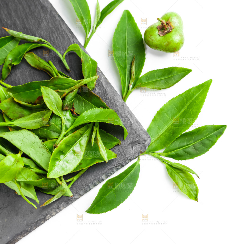 白底上放着绿茶叶