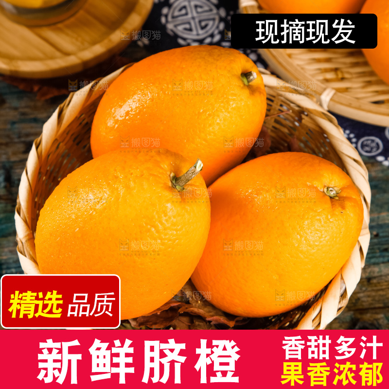 篮子里装着长虹脐橙