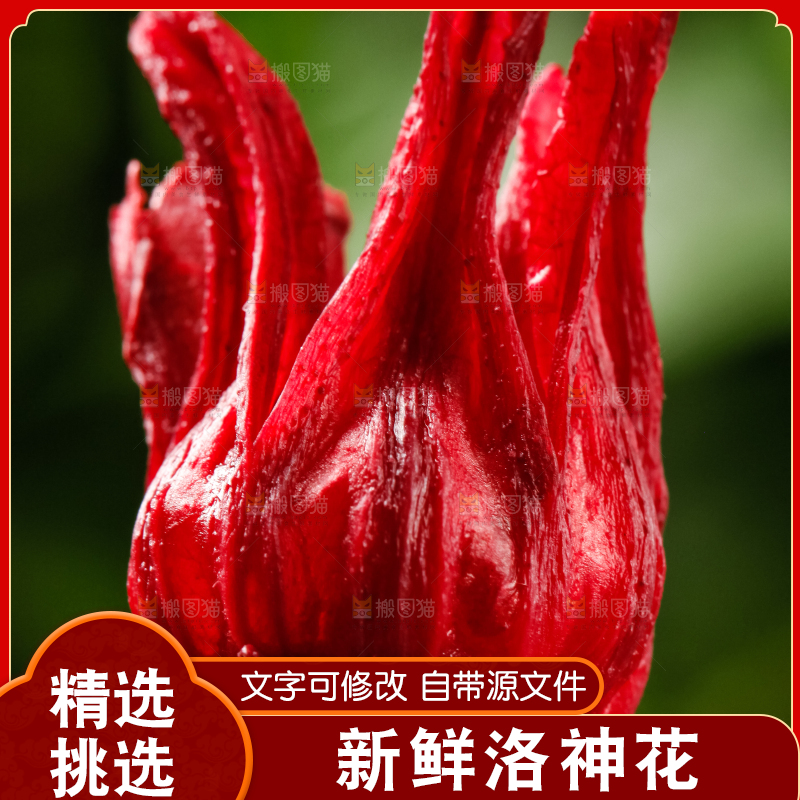 手里拿着洛神花