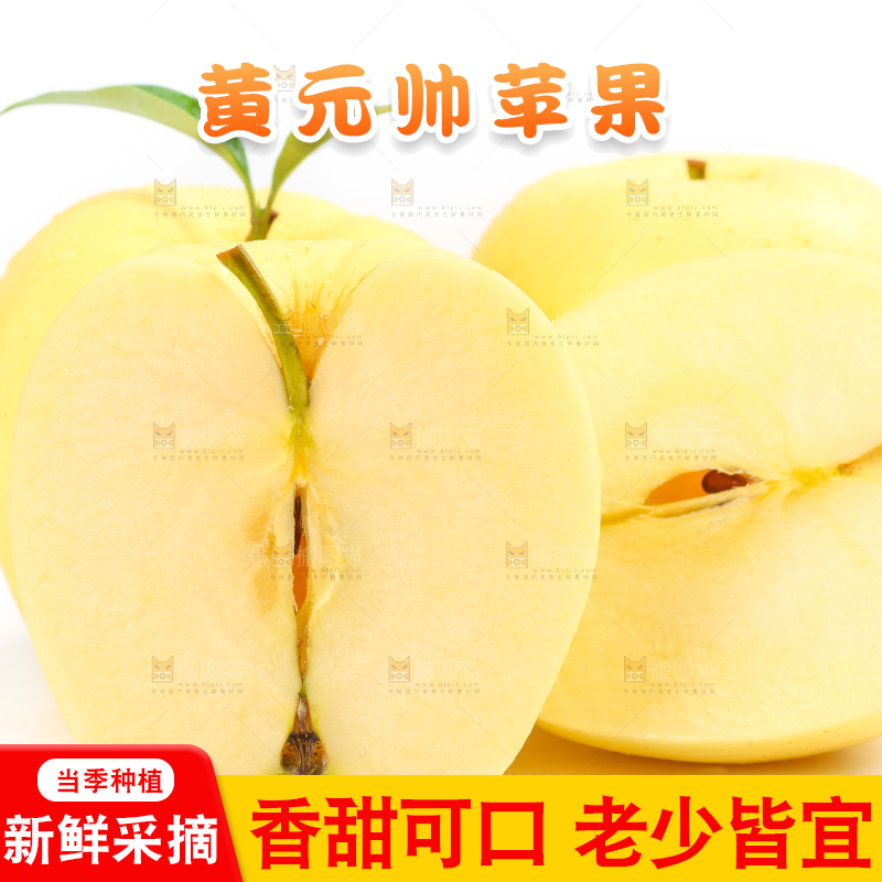 白底上摆放着黄金帅