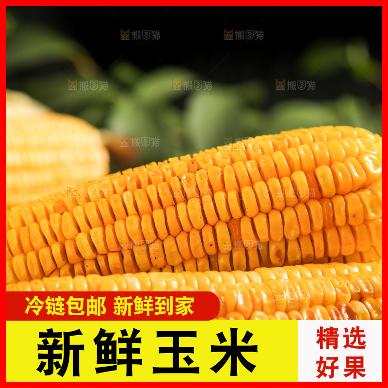 盘子里装烤玉米