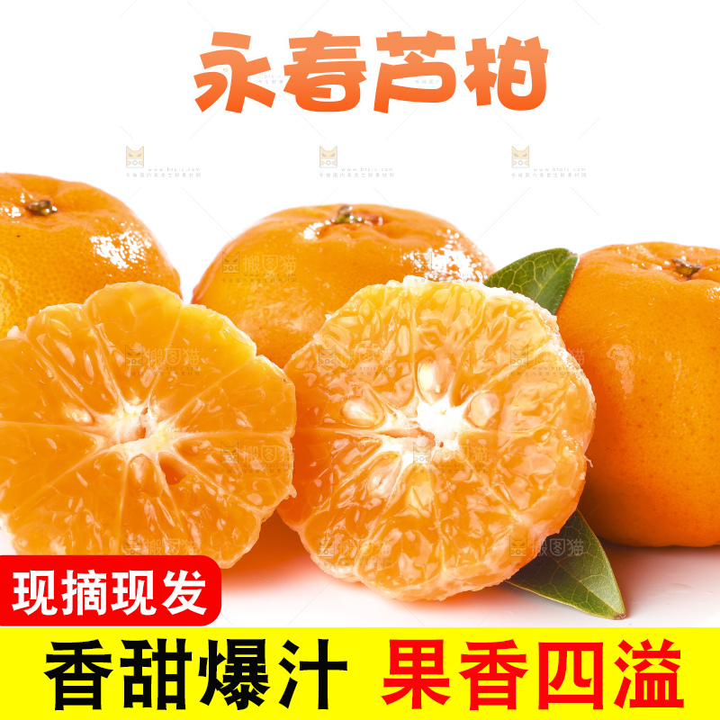 白底上的芦柑