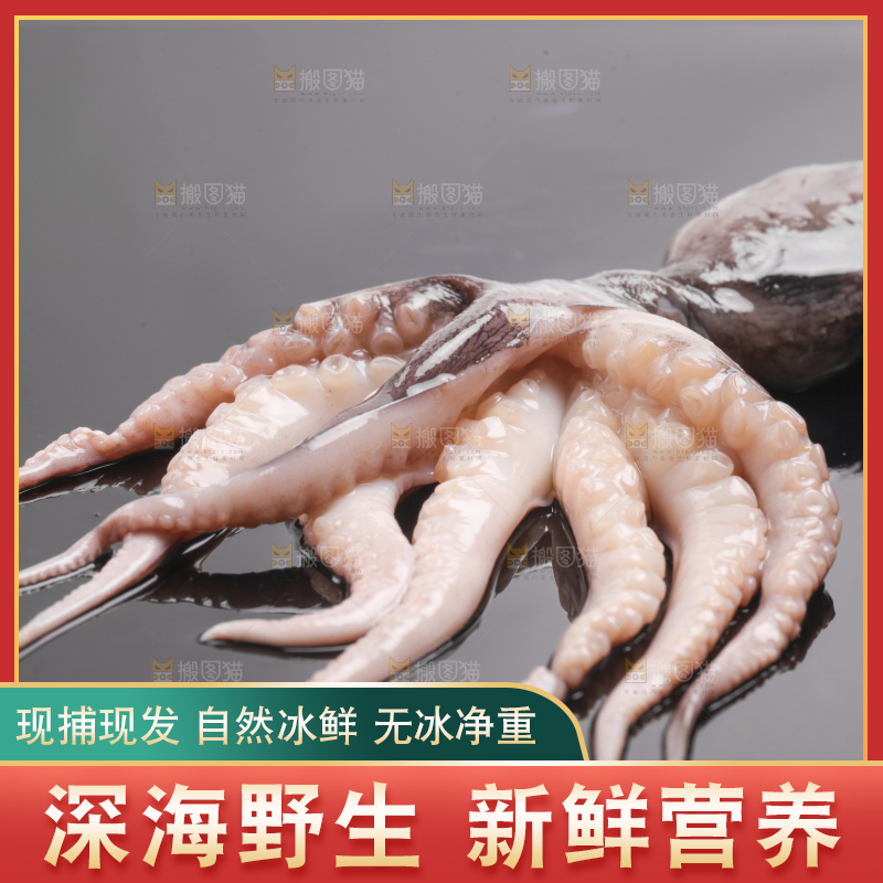 黑底上放着大连章鱼