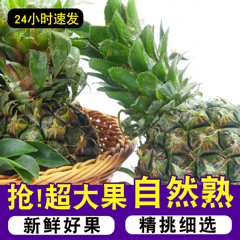 篮子里的泰国迷你小菠萝