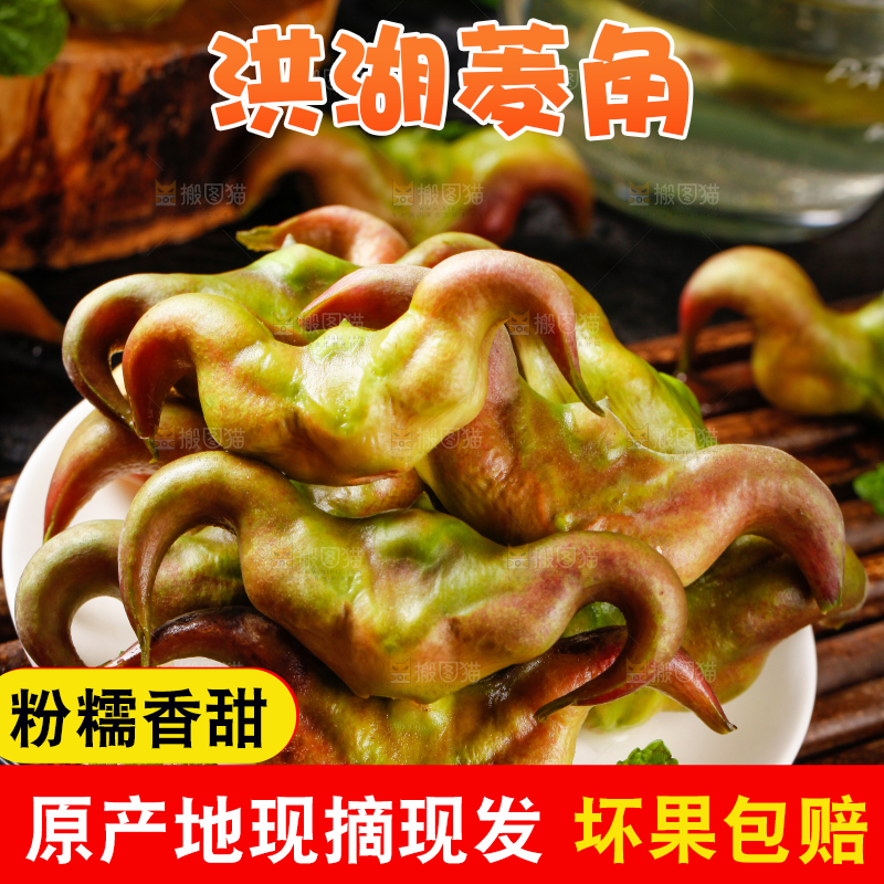 盘子里洪湖菱角
