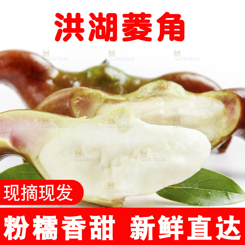 白底上的新鲜菱角