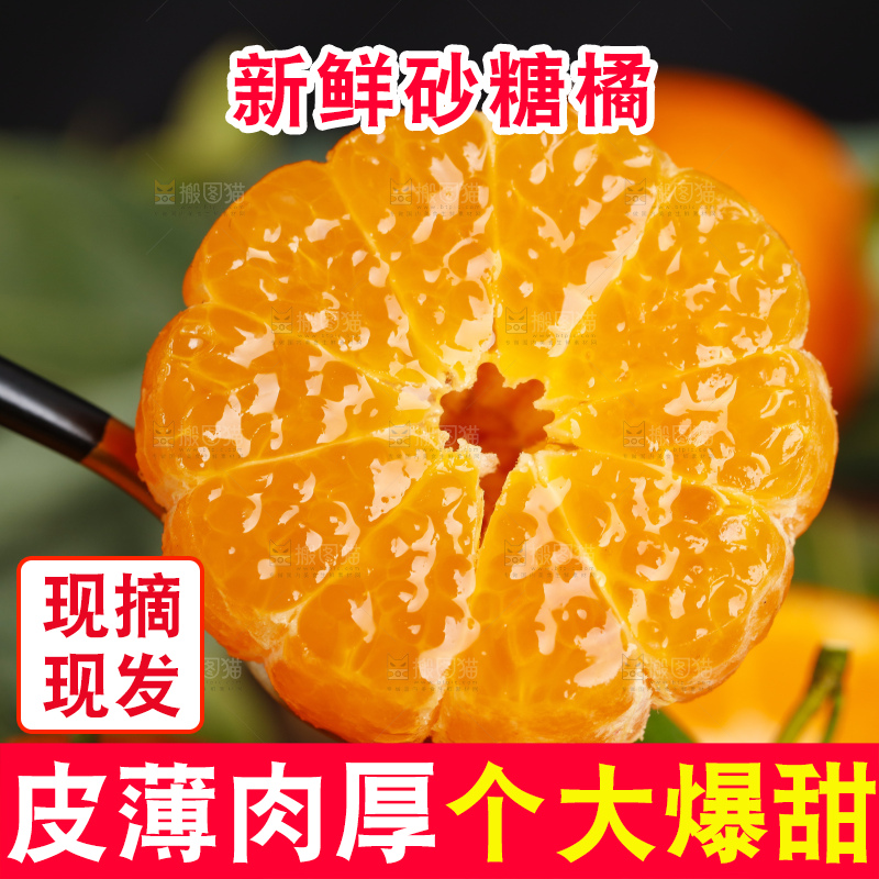 木板上的广西砂糖橘