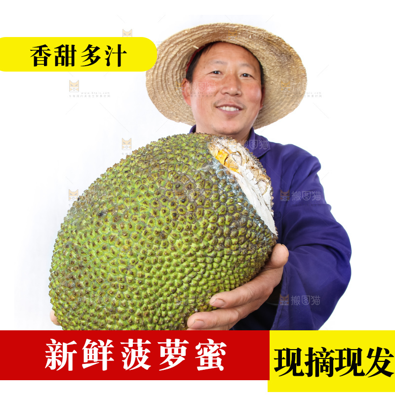 农民手里拿着菠萝蜜