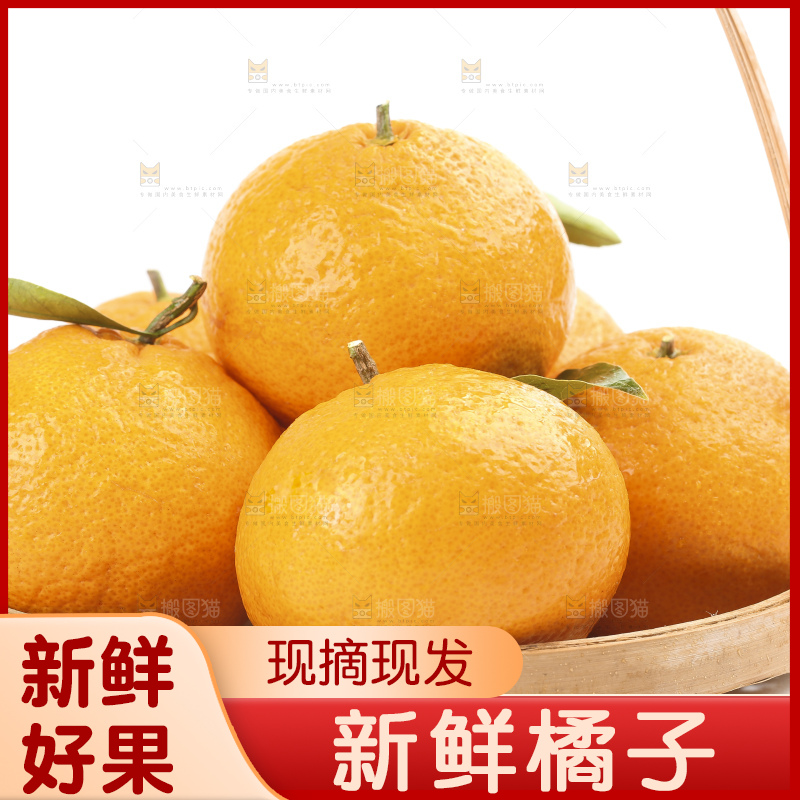 白底上的椪柑橘