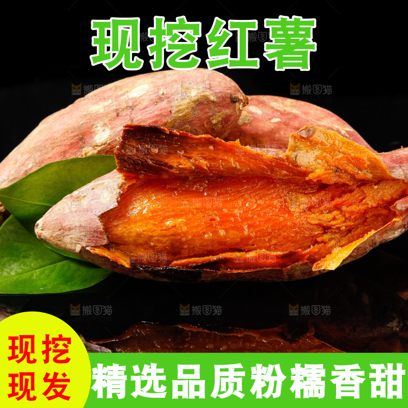 黑底上的烟薯25号