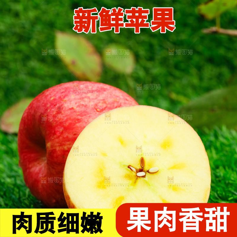 草地上放着冰糖心苹果