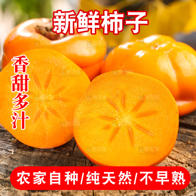 木底上的磨盘大柿子
