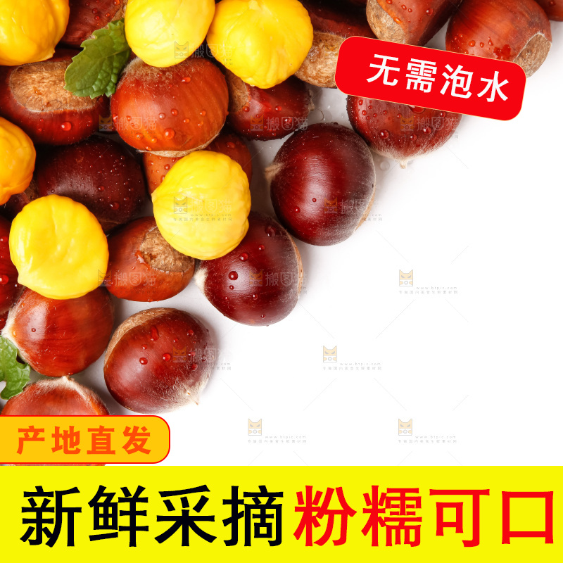 白底上的新鲜栗子