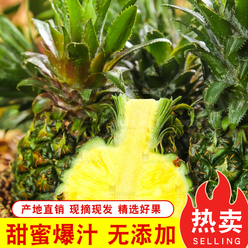 篮子上的香水小菠萝