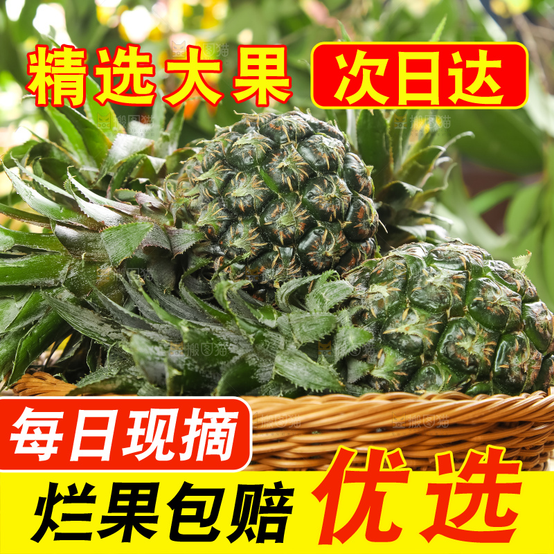 篮子上的香水小菠萝
