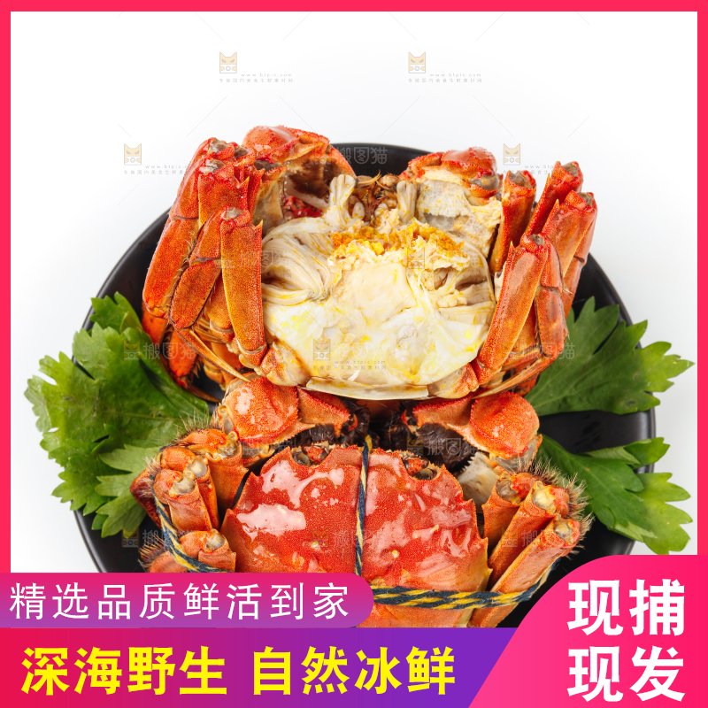 白底上的大闸蟹