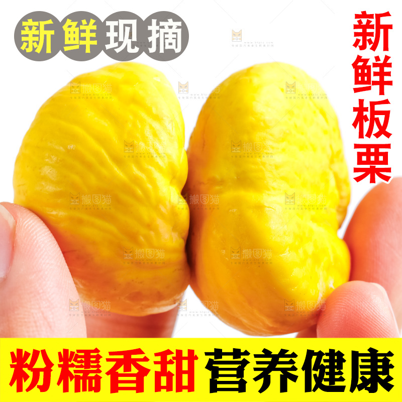 手里拿着新鲜板栗