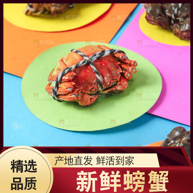 彩底上的螃蟹