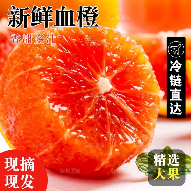 白底上放着橙子