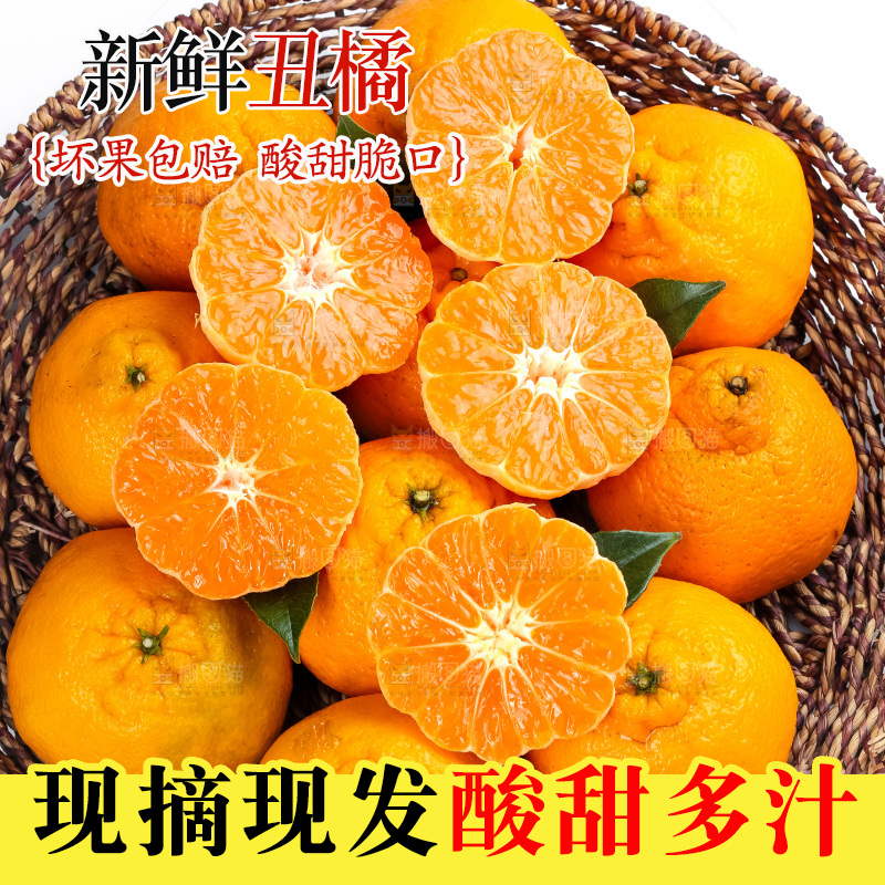 篮子里装着四川丑柑