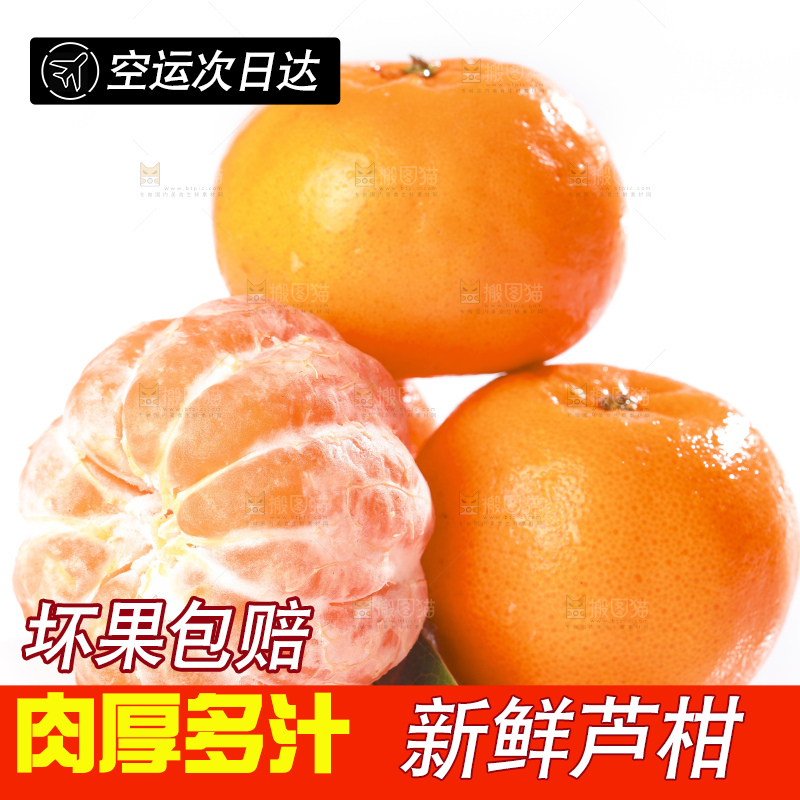 白底上的芦柑