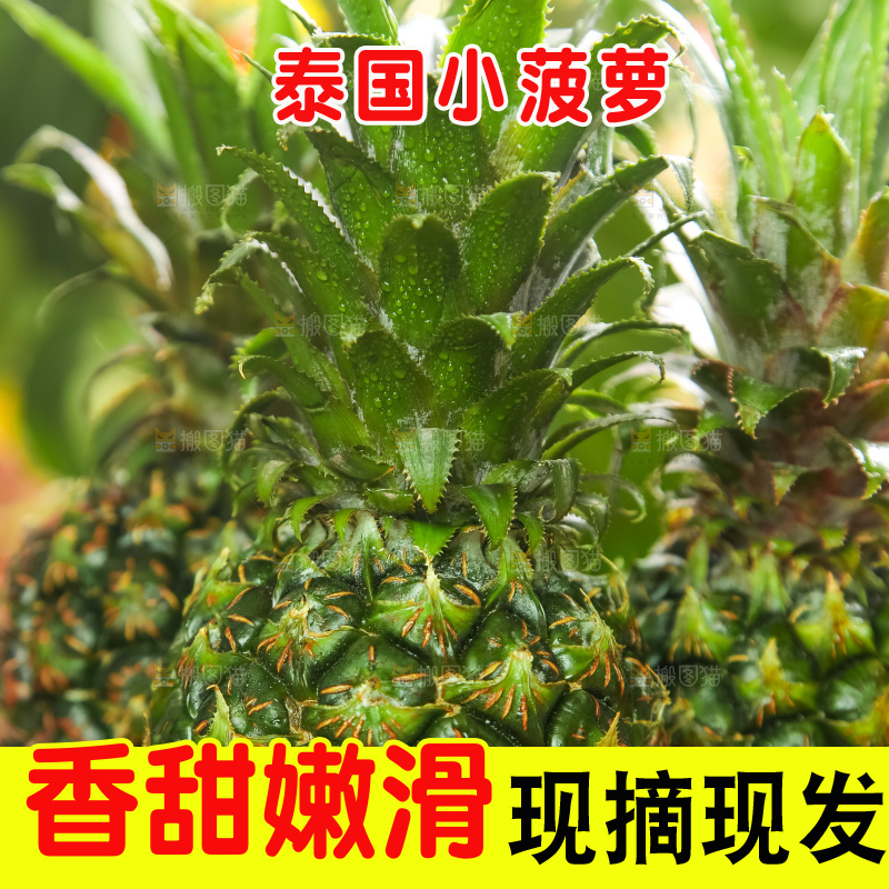 篮子上的香水小菠萝