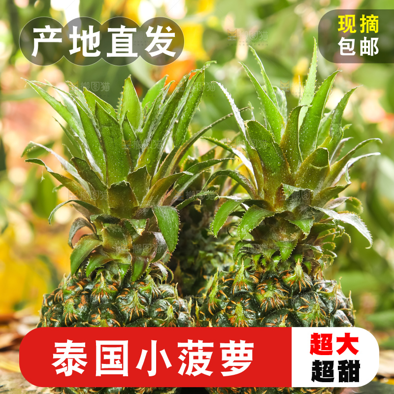 黑石板上的新鲜小菠萝