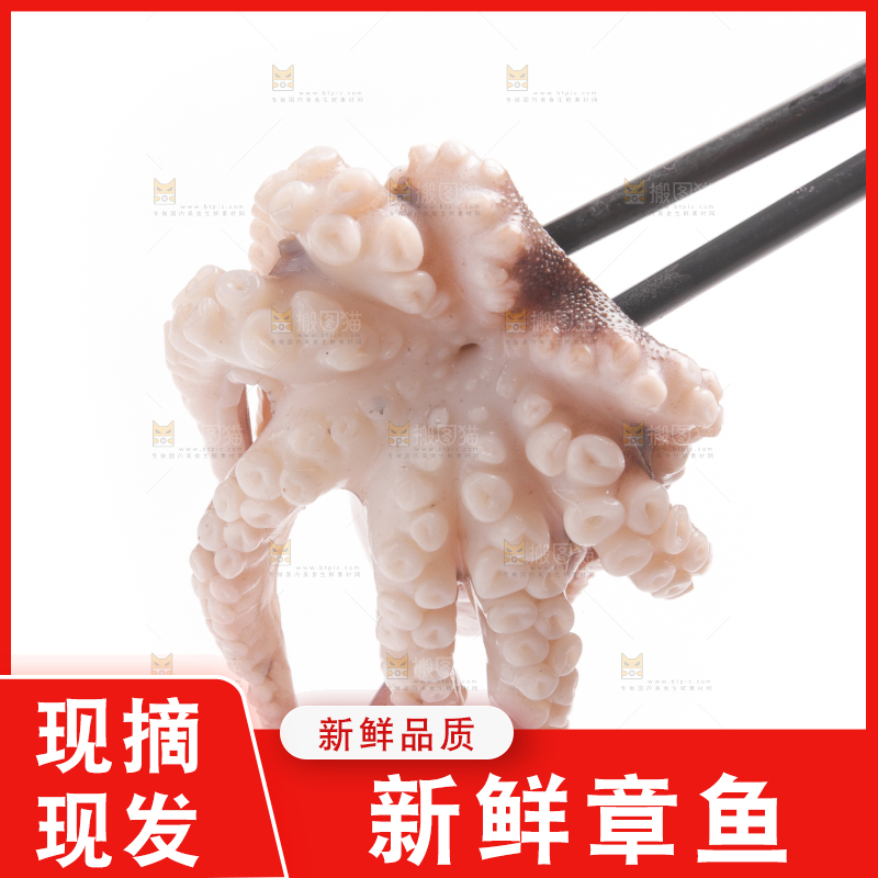 筷子上夹着八爪鱼