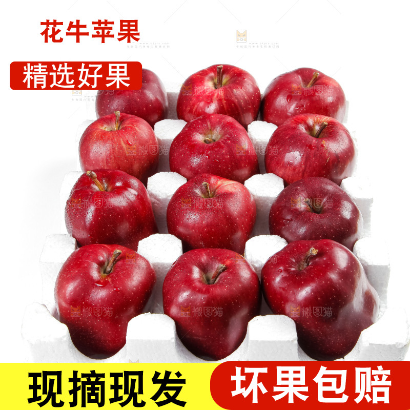 箱子里装着甘肃花牛苹果