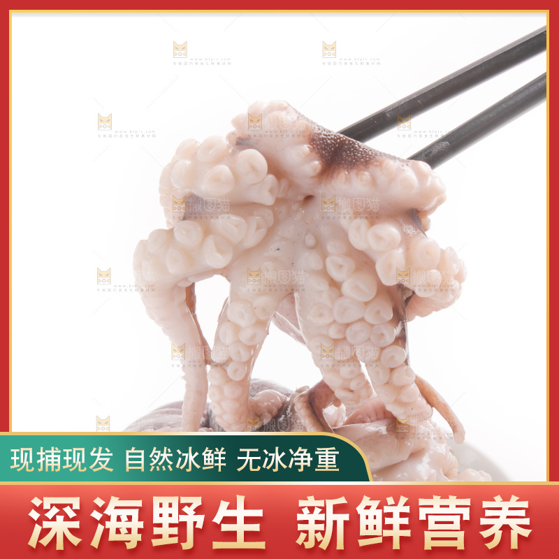 筷子上夹着八爪鱼