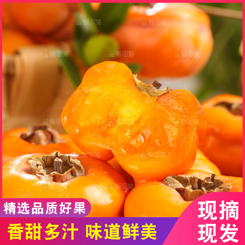 黑石板上放着易县磨盘柿