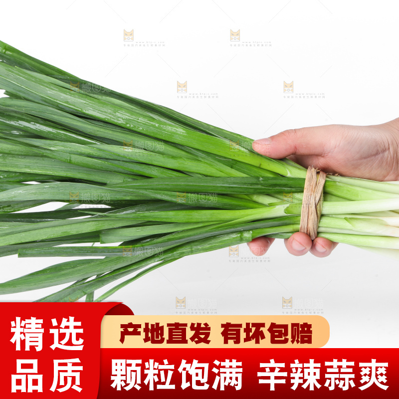 白底上放着蒜苗