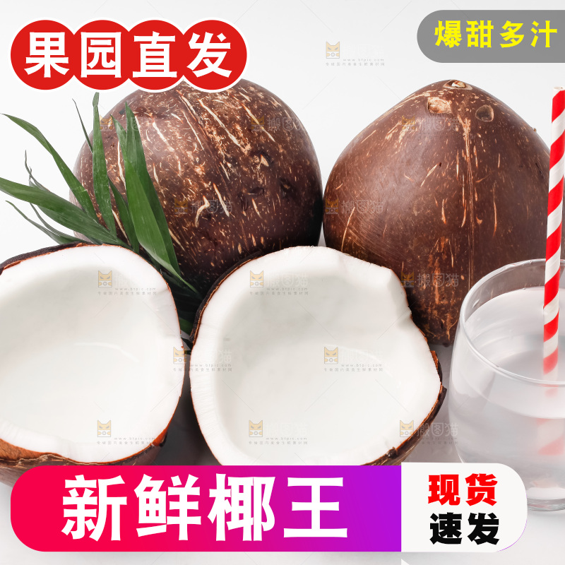 白底上放着椰王