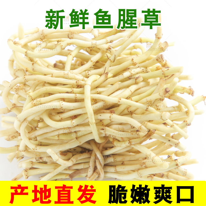 白底上放着折耳根
