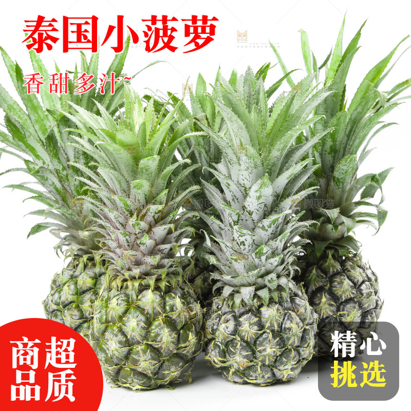 白底上放着泰国小菠萝