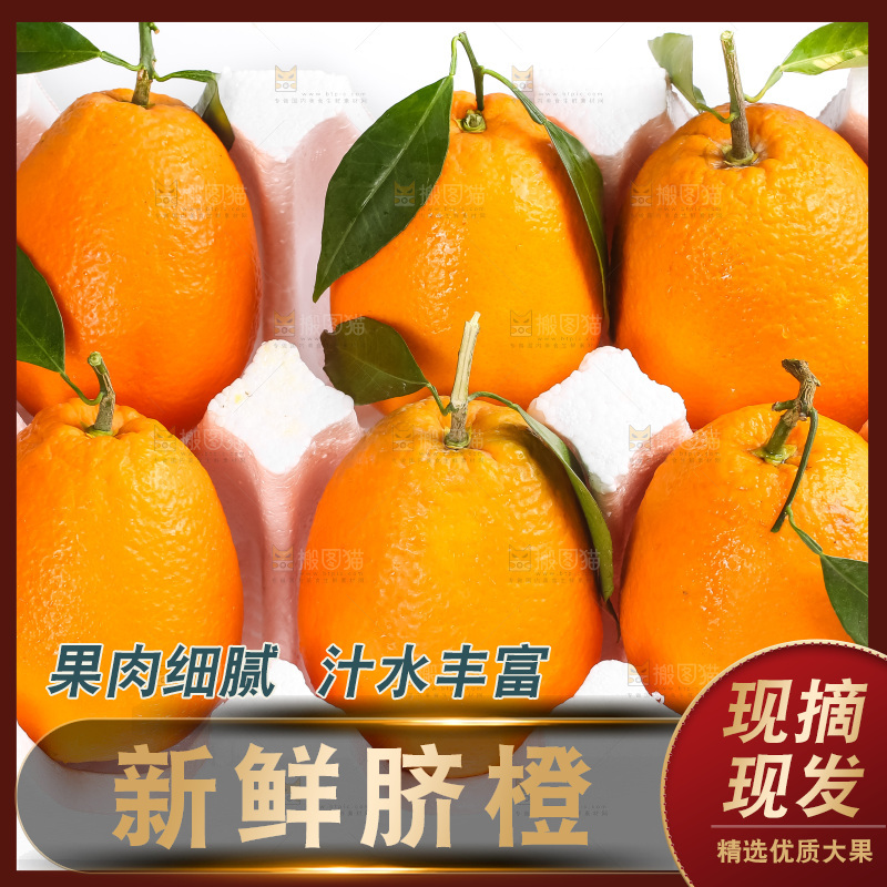 箱子里的秭归脐橙
