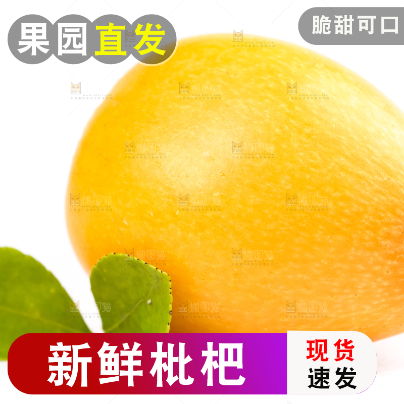 白底上放着攀枝花米易枇杷