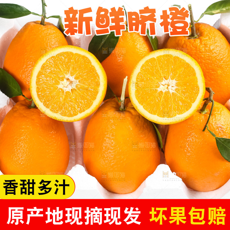 箱子里的秭归脐橙