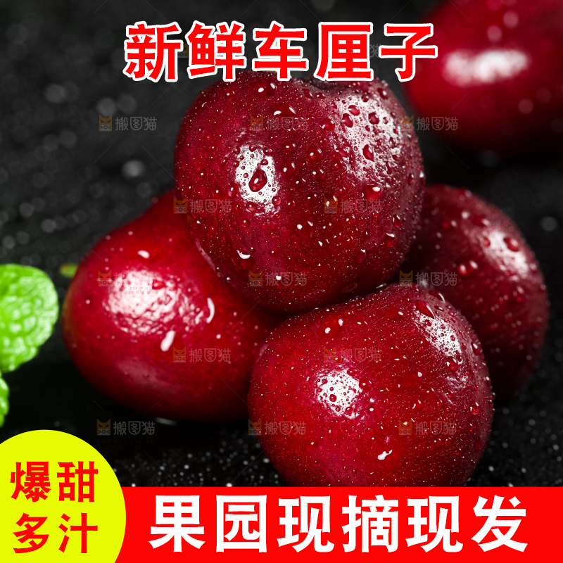 深底上的新鲜车厘子