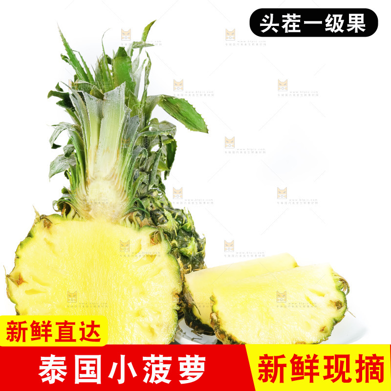 白底上的泰国迷你小菠萝