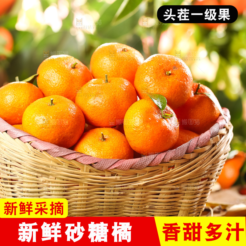 篮子里装着广西砂糖橘