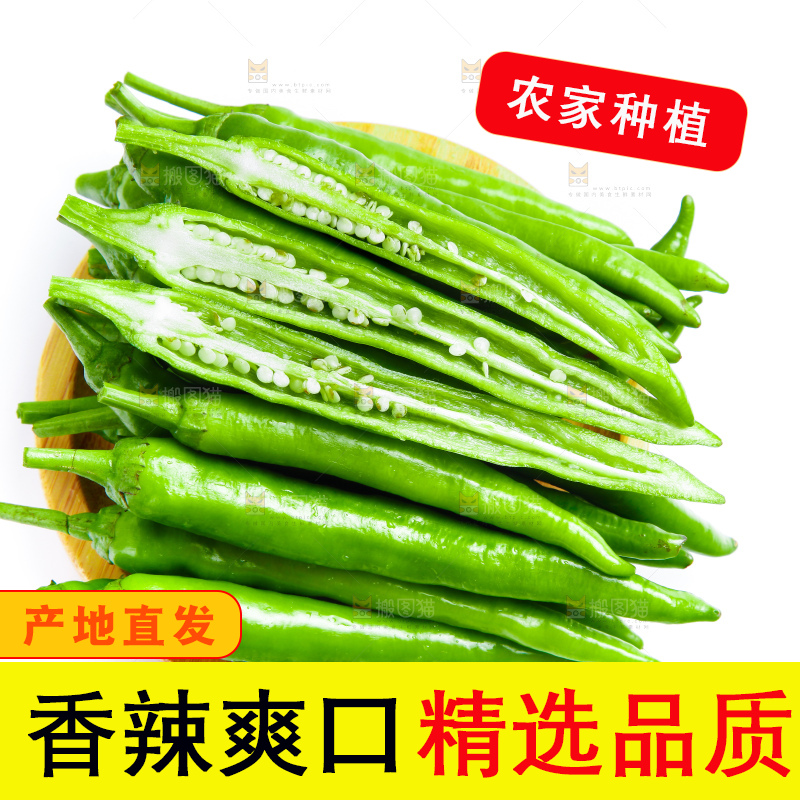白底上摆放着新鲜杭椒