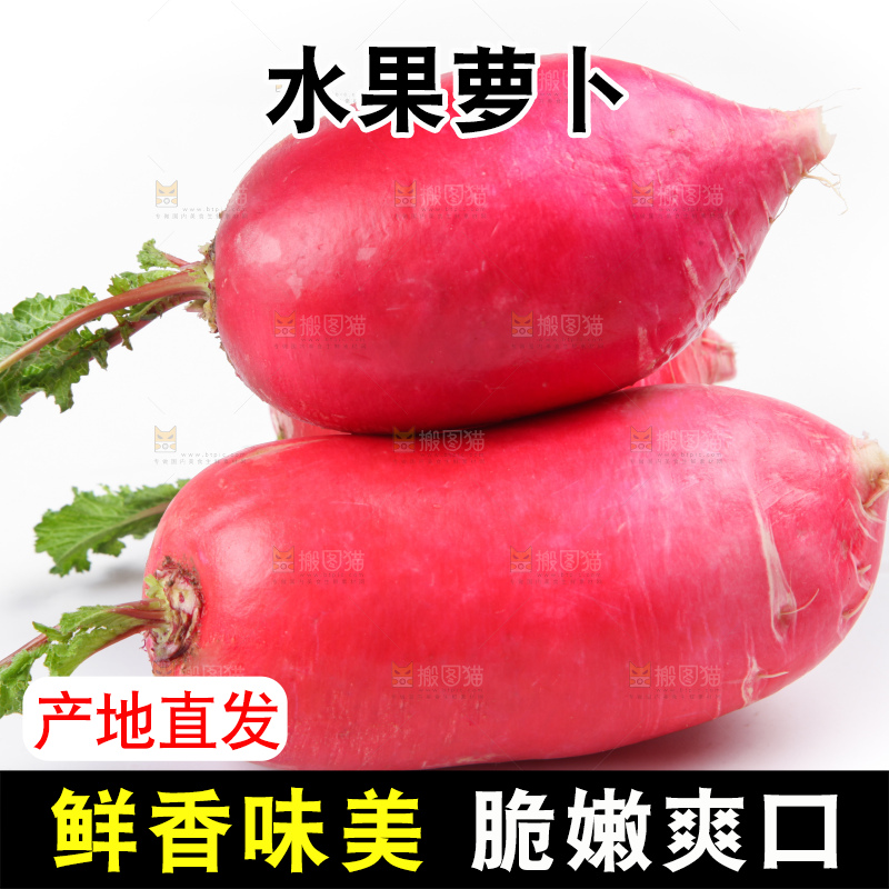 白底上的红萝卜