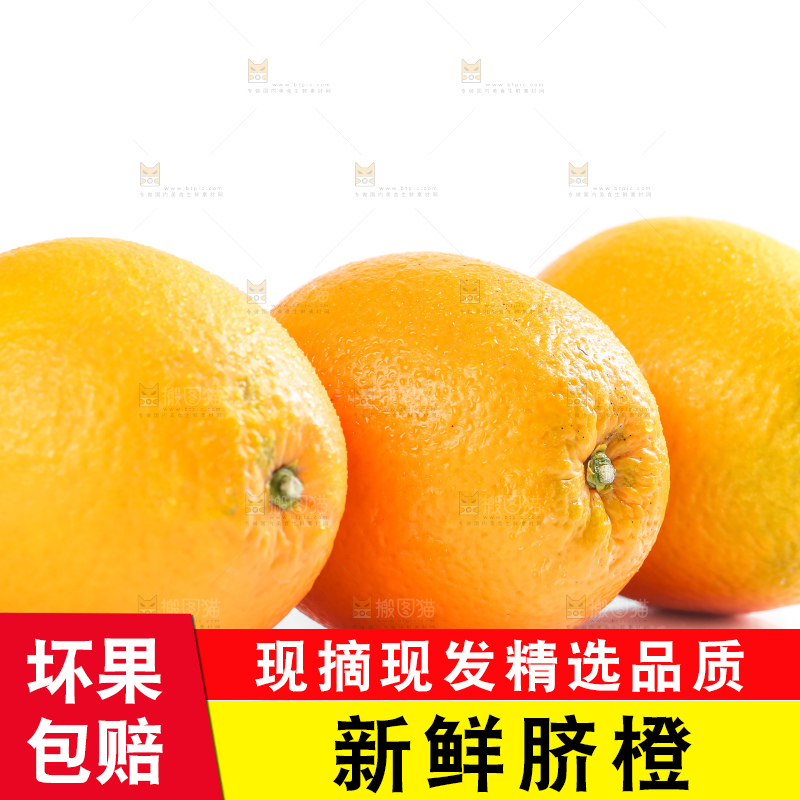 白底上的高山甜橙