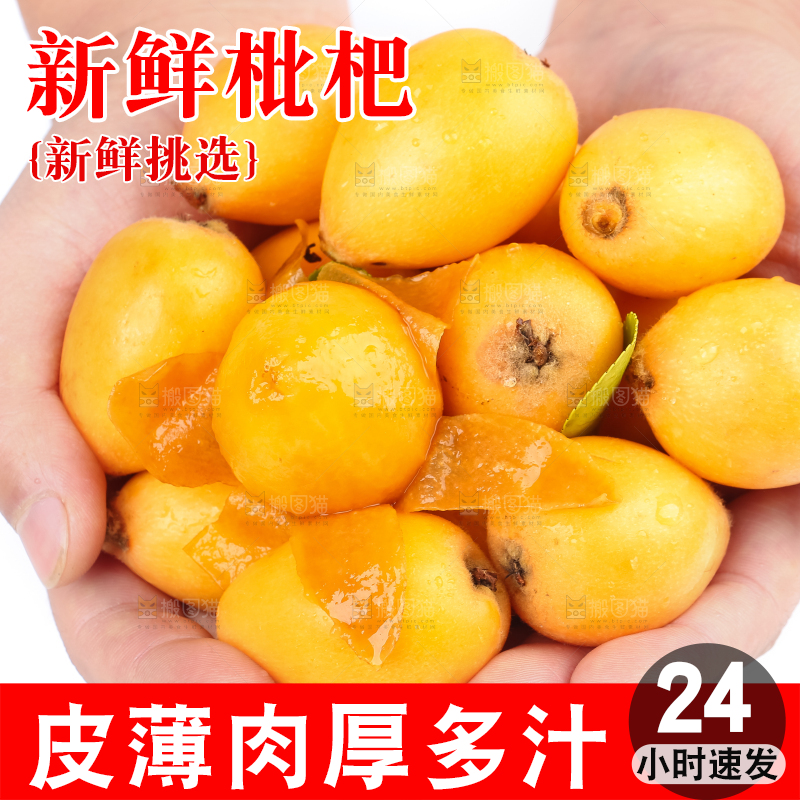 手里捧着云南蒙自枇杷
