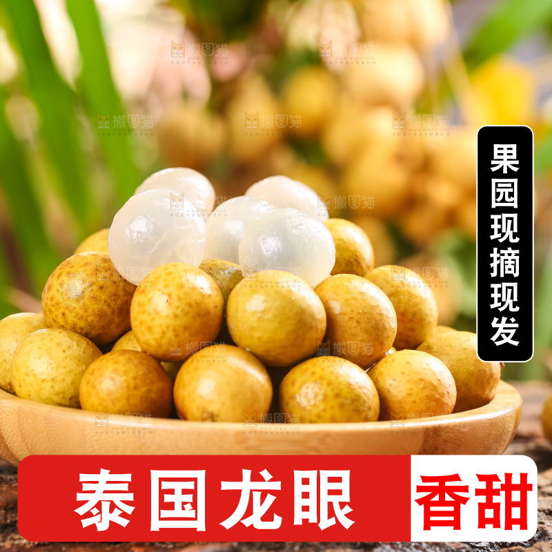 木底上的广东龙眼