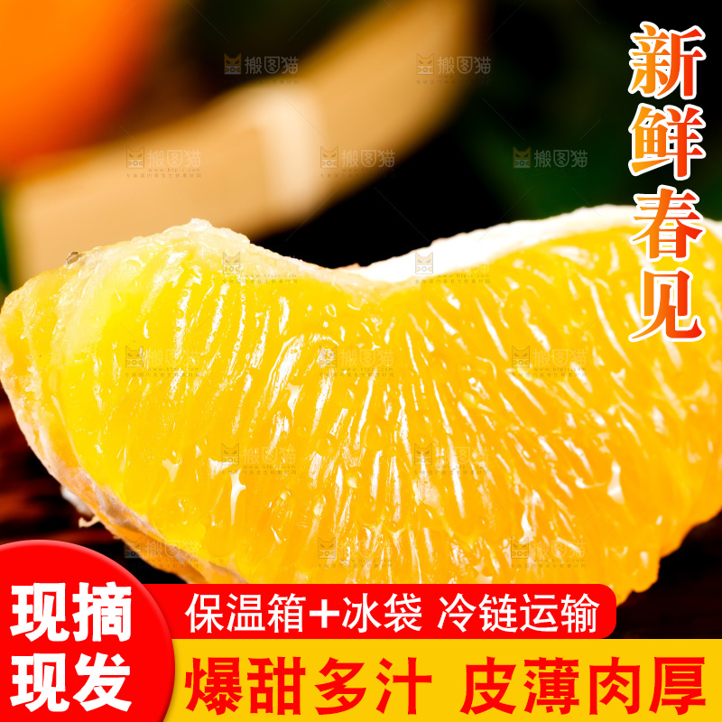 深底上的春见柑桔