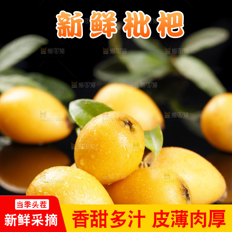 黑底上的米易枇杷