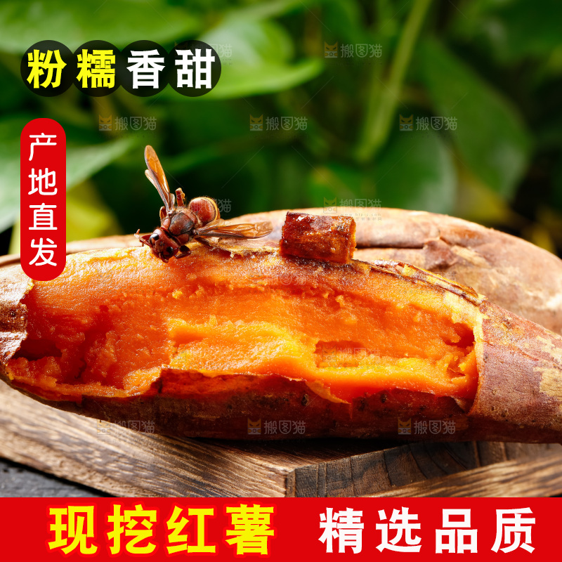 竹底上放着烟薯