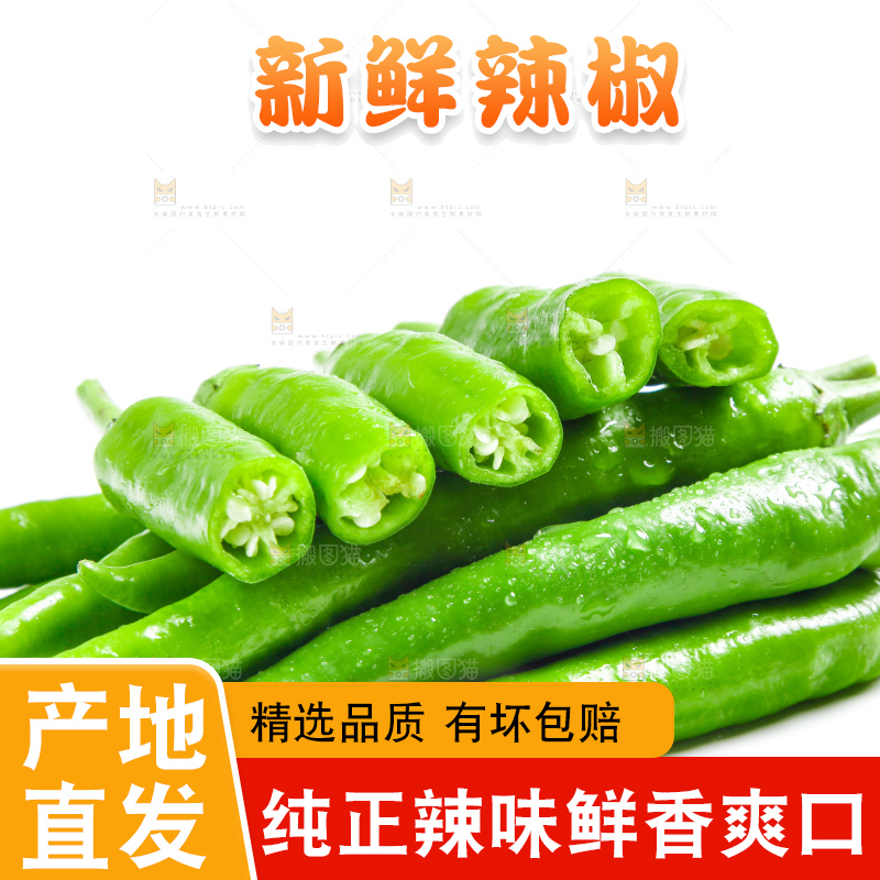 白底上摆放着新鲜杭椒
